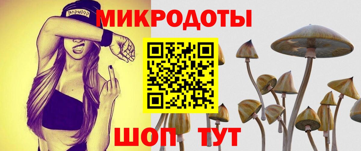 Галлюциногенные грибы прущие грибы Керчь